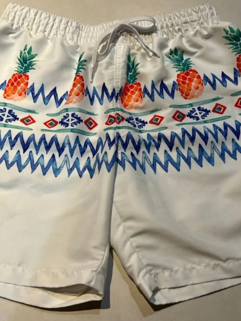 Chubbies Swim 7
